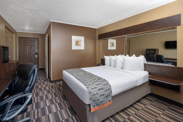 Microtel Inn & Suites by Wyndham Columbia Two Notch Rd Area image 7